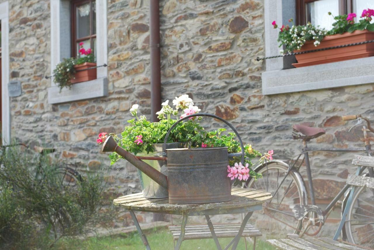 Petite Reine Villa Bertrix Exteriör bild